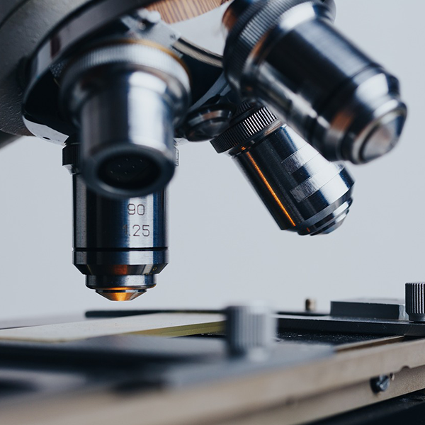 The Convenience of Online Pharmacies: Healthcare at Your Fingertips