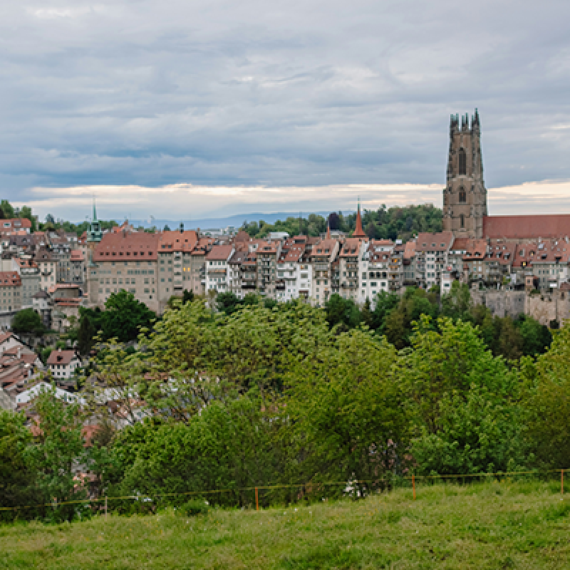 Ebi Pharmacy Fribourg